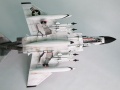 Hasegawa 1/48 F-4J Phantom II  Show Time 100