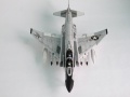 Hasegawa 1/48 F-4J Phantom II  Show Time 100