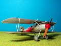 Eduard 1/72 Albatros D.V -    