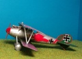 Eduard 1/72 Albatros D.V -    