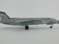 ARTmodel 1/72 -141