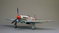 ModelSvit 1/48 -1 -    