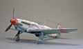 ModelSvit 1/48 -1 -    