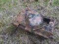 Dragon 1/35 KingTiger -  