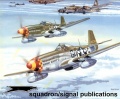 Tamiya 1/48 P-51D Mustang -  