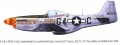 Tamiya 1/48 P-51D Mustang -  