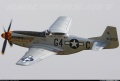 Tamiya 1/48 P-51D Mustang -  