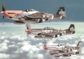 Tamiya 1/48 P-51D Mustang -  