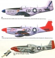 Tamiya 1/48 P-51D Mustang -  