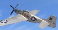 Tamiya 1/48 P-51D Mustang -  