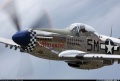 Tamiya 1/48 P-51D Mustang -  