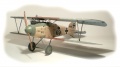 Roden 1/32 Albatros D.III