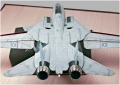 Trumpeter 1/32 F-14D Super Tomcat VF-213 Black Lions