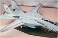 Trumpeter 1/32 F-14D Super Tomcat VF-213 Black Lions