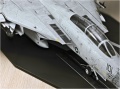 Trumpeter 1/32 F-14D Super Tomcat VF-213 Black Lions