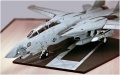 Trumpeter 1/32 F-14D Super Tomcat VF-213 Black Lions