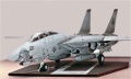 Trumpeter 1/32 F-14D Super Tomcat VF-213 Black Lions