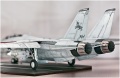 Trumpeter 1/32 F-14D Super Tomcat VF-213 Black Lions