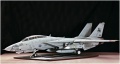 Trumpeter 1/32 F-14D Super Tomcat VF-213 Black Lions