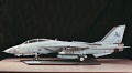 Trumpeter 1/32 F-14D Super Tomcat VF-213 Black Lions