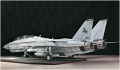 Trumpeter 1/32 F-14D Super Tomcat VF-213 Black Lions