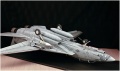 Trumpeter 1/32 F-14D Super Tomcat VF-213 Black Lions