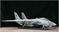 Trumpeter 1/32 F-14D Super Tomcat VF-213 Black Lions