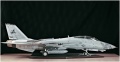 Trumpeter 1/32 F-14D Super Tomcat VF-213 Black Lions