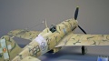 Hasegawa 1/48 .202 Folgore -  ,  !