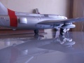  1/24 L-29 Delfin