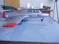  1/24 L-29 Delfin