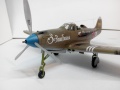 Eduard 1/48 P-39 Airacobra