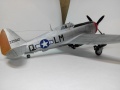 ARII 1/48 Republic P-47D Thunderbolt