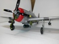 ARII 1/48 Republic P-47D Thunderbolt