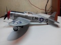 ARII 1/48 Republic P-47D Thunderbolt