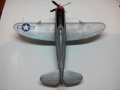 ARII 1/48 Republic P-47D Thunderbolt