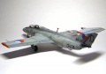 AMK 1/48 L-29 Delfin