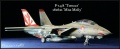 Hasegawa 1/48 F-14A Tomcat