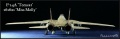 Hasegawa 1/48 F-14A Tomcat