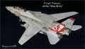 Hasegawa 1/48 F-14A Tomcat