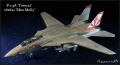 Hasegawa 1/48 F-14A Tomcat