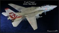 Hasegawa 1/48 F-14A Tomcat