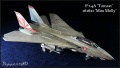 Hasegawa 1/48 F-14A Tomcat