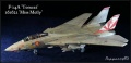 Hasegawa 1/48 F-14A Tomcat