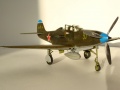 Hasegawa 1/48 P-39Q Airacobra