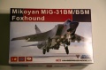   1/48 MiG-31 BM/BSM