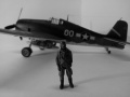 ARII 1/48 Grumman F6F-3 Hellcat