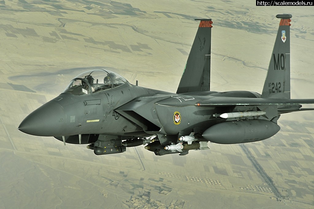 1451639096_F-15E_Strike_Eagle_over_Afghanistan.jpg : #1210138/ Revell 1/48 McDonnell Douglas F-15E S...(#9316) -   