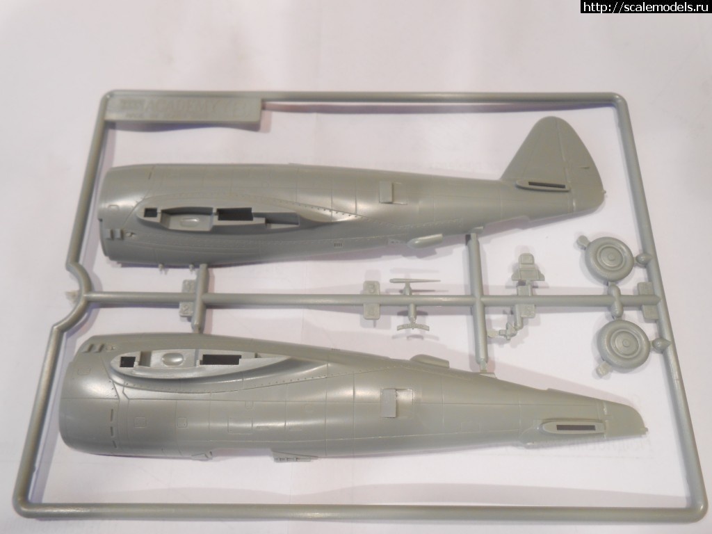 1452442566_DSCN0893_1.jpg : P-47D    Academy, 1/72 -   