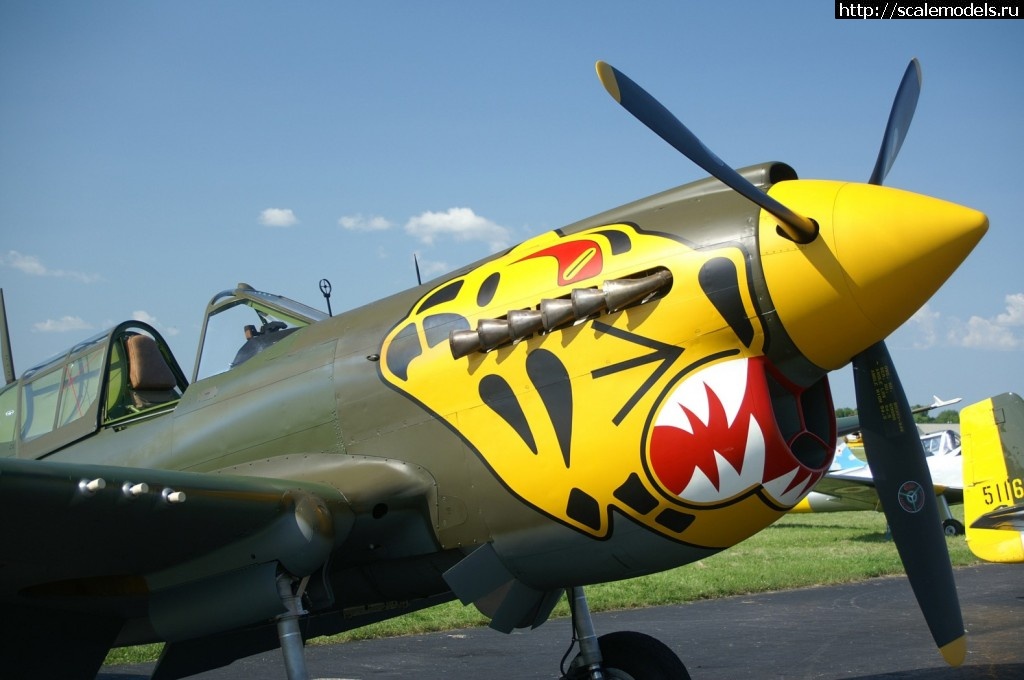 1453549674_P-40-Desktop-Resolution.jpg : ARII 1/48 P-40(E) Kittyhawk(#9419) -   